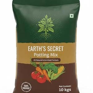 Aqualogica Moisturizer